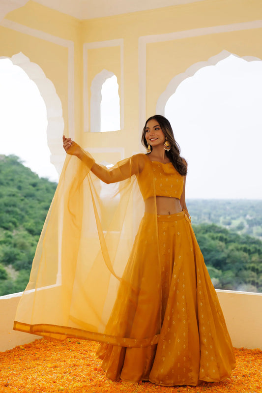 Daisy Yellow Lehenga Set Ragavi