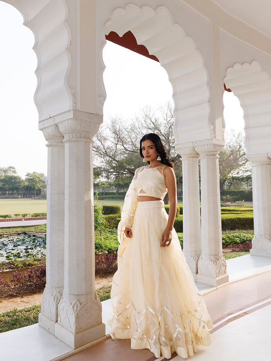 Petal Yellow Organza Lehenga Set