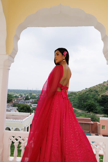 Dilruba Pink Lehenga Set
