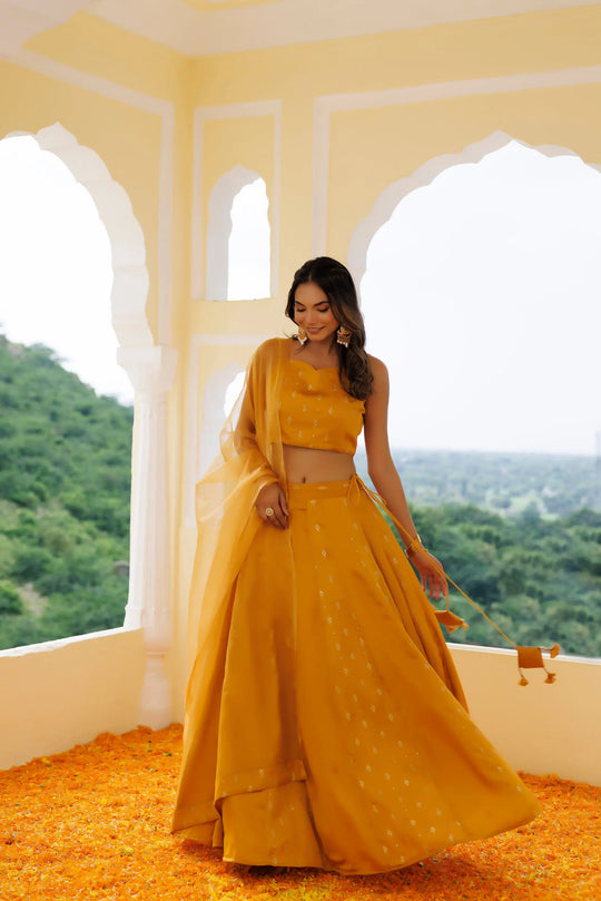 Daisy Yellow Lehenga Set Ragavi