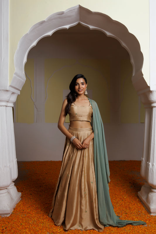 Taffy Golden Brown Lehenga Set