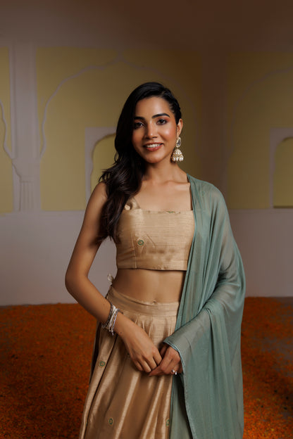 Taffy Golden Brown Lehenga Set