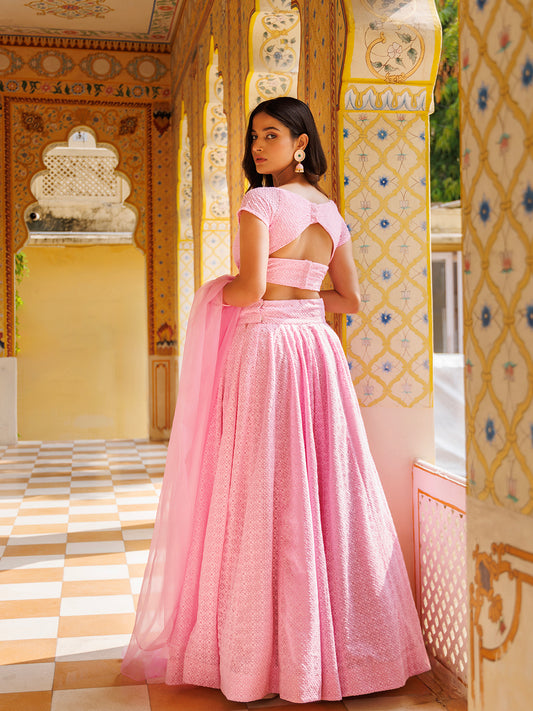 Blushing Pink Chikankari Lehenga Set