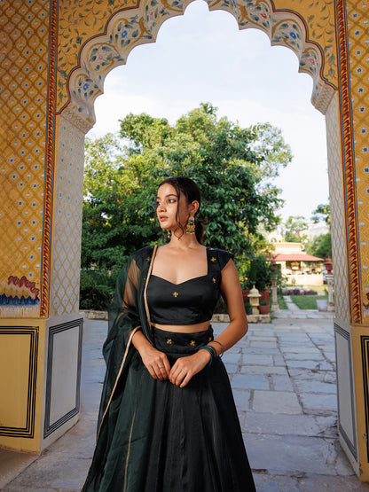 Green Bay Embroidered Silk Lehenga Set