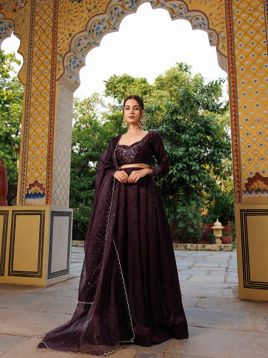 Mauve Wine Embroidered Velvet Lehenga Set