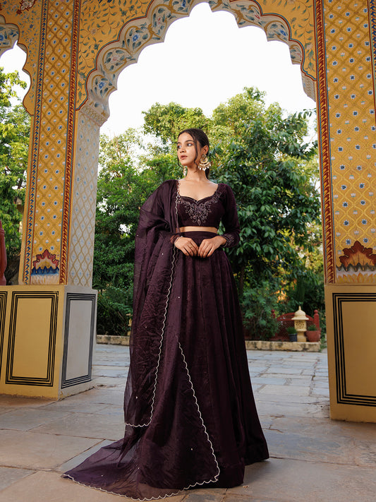 Mauve Wine Embroidered Velvet Lehenga Set