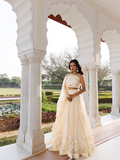 Petal Yellow Organza Lehenga Set