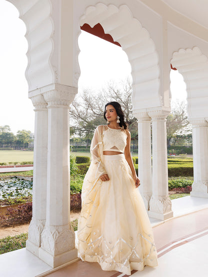 Petal Yellow Organza Lehenga Set
