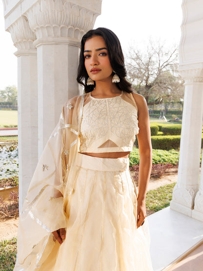 Petal Yellow Organza Lehenga Set