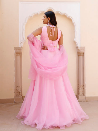 Soft Pink Organza Embroidered Lehenga Set