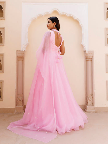 Soft Pink Organza Embroidered Lehenga Set
