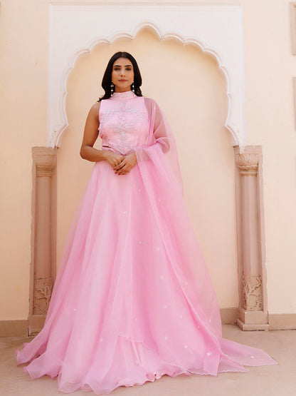 Soft Pink Organza Embroidered Lehenga Set